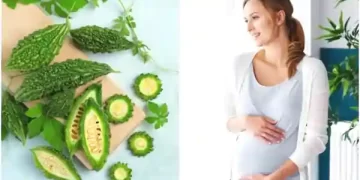 Pregnancy