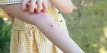 Dengue