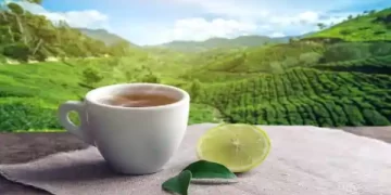 Jasmine Tea