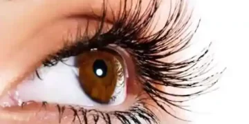 Oil