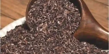 Black Rice