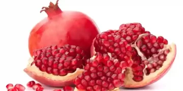 Pomegranate