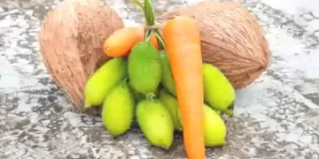 Kantola