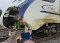 Vande Bharat Train Incident