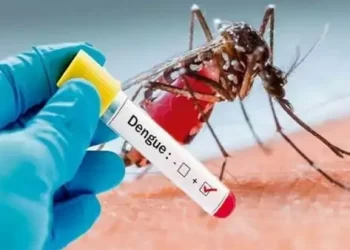Dengue Cases