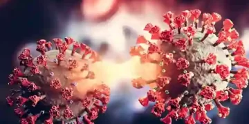 279 new cases of corona