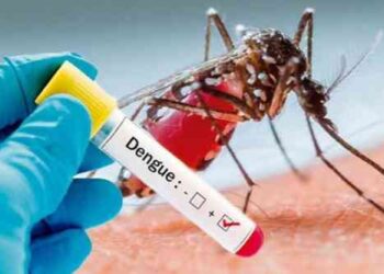 Dengue Cases in Mohali