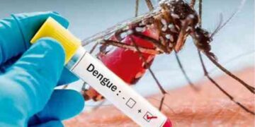 Dengue Cases in Mohali