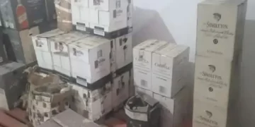 Himachal assembly election