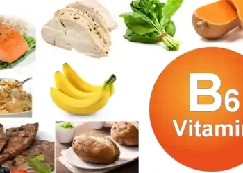 Vitamin B6 Supplement