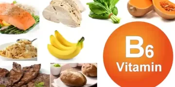 Vitamin B6 Supplement