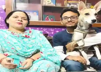 Bhidu