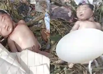 Newborn Baby Corpse