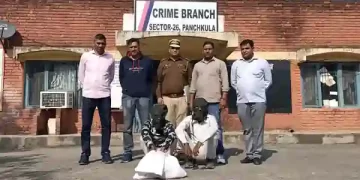 Panchkula Crime Branch