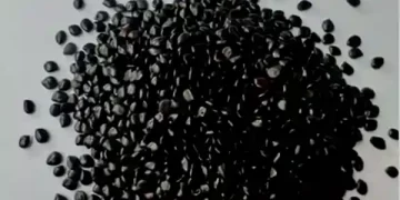 Desi superfood
