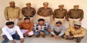 5 Accused