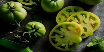 Green Tomatoes