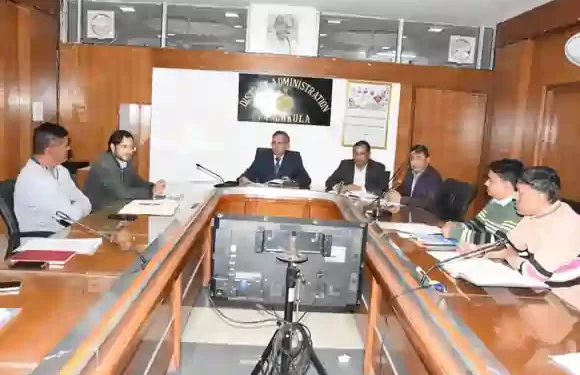 Monitoring Committee