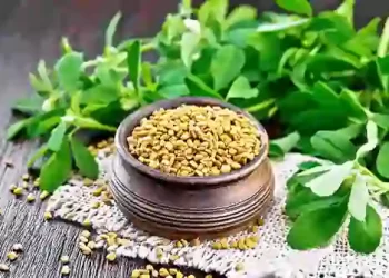 Fenugreek Leaves