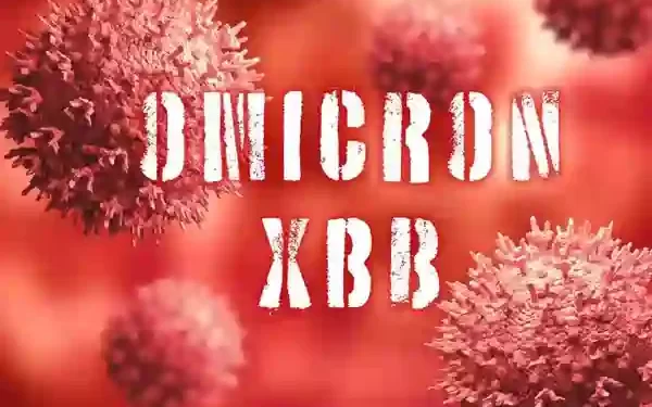XBB