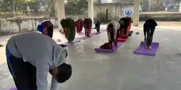 Yoga camp