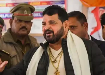 Wrestling Federation