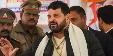 Wrestling Federation