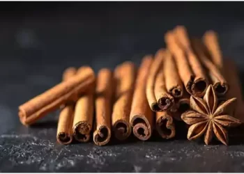 Cinnamon