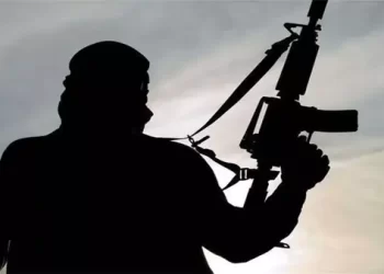 IS Terrorist Activities