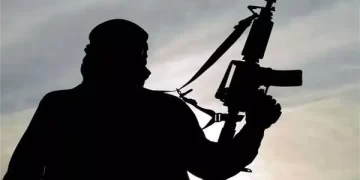 IS Terrorist Activities