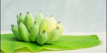 Raw Banana