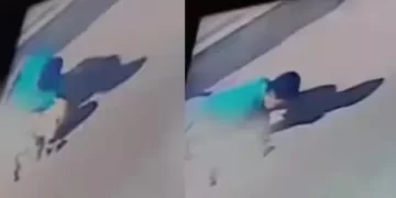 Stray Dog Rape