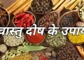 Vastu Dosh