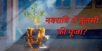 Tulsi Mata Puja Tips