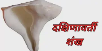 Dakshinavarti Shankh