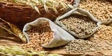 Wheat Procurement