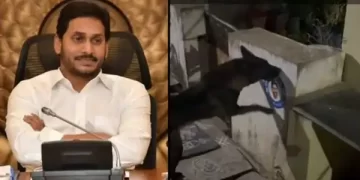 Jaganmohan Reddy