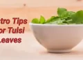 Tulsi leaves