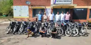 Bike Thief Gang