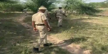 special search-checking campaign