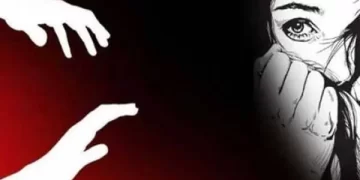 Soil