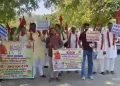 Cow-Sanctuaries