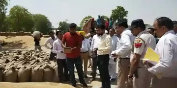 Grain market