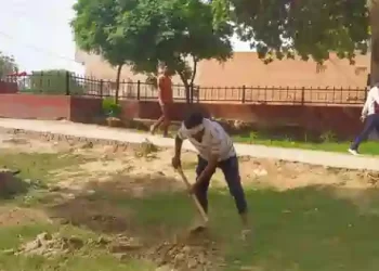 Human Rights Council Haryana