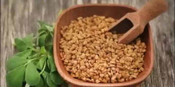 Benefits of Fenugreek