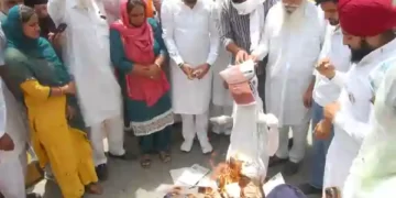 Farmer Organizations