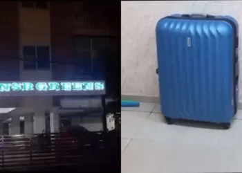 Daughter killed her mother