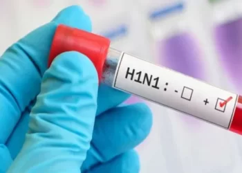 H1N1 Virus