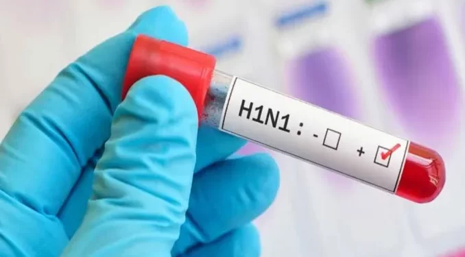 H1N1 Virus