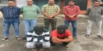 Fraud Gang